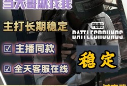 绝地求生【ONE】辅助