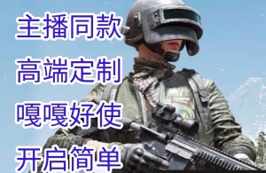 绝地求生【AY】辅助