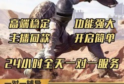 绝地求生【黑马】外挂